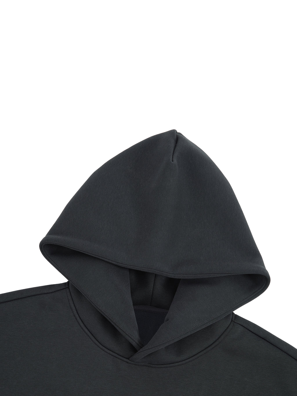 Healthy Girl Dad Premium Hoodie
